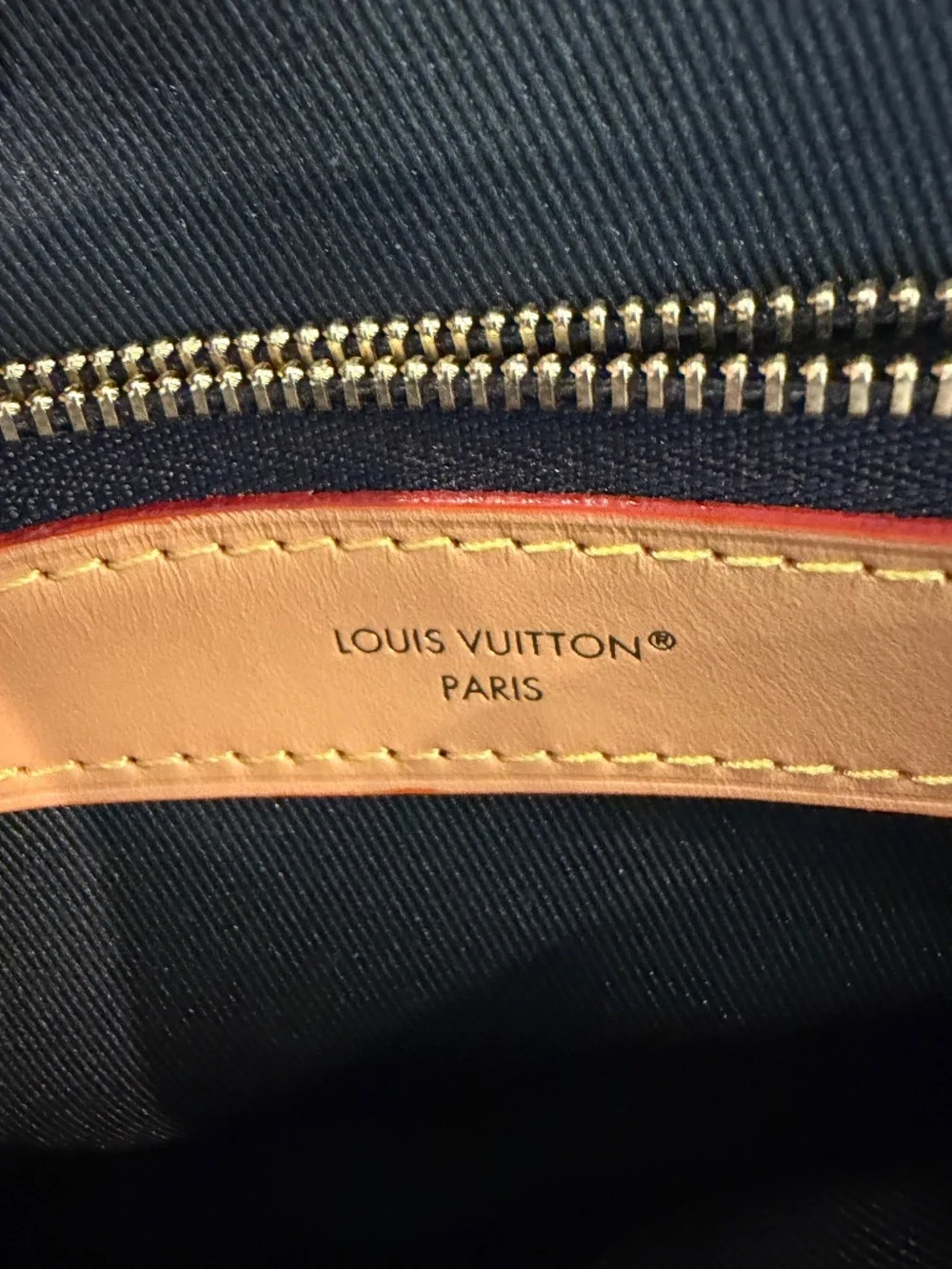Louis Vuitton Diane NM Monogram Canvas Handbag | Brand New | Never Used |